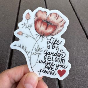 il fullxfull.7204777373 3aqv.jpg