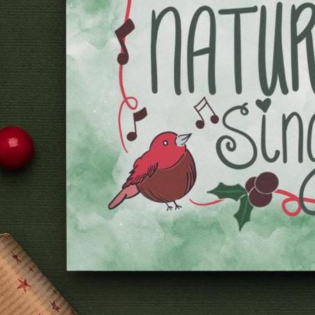 let heaven and nature sing, printed christmas cards, christmas card set, folded christmas card, christmas card with envelope, 6 pack - handmade by Beth Ann Erickson Designs